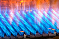 Bickham gas fired boilers